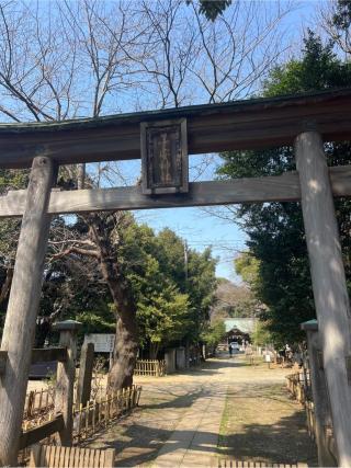 子安神社の参拝記録(⛩️🐍🐢まめ🐢🐍⛩️さん)