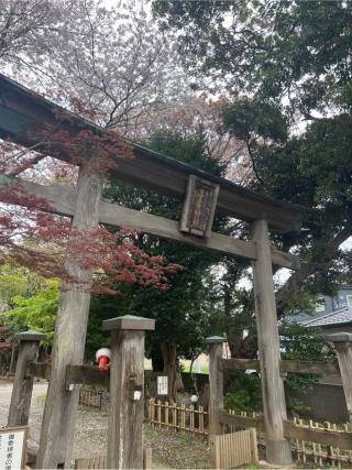 子安神社の参拝記録(⛩️🐍🐢まめ🐢🐍⛩️さん)