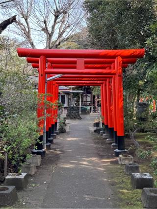 厳嶋神社の参拝記録(こーちんさん)