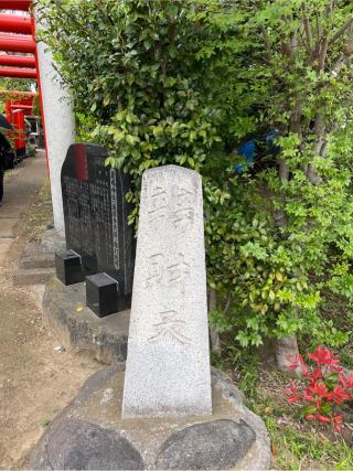 厳嶋神社の参拝記録(⛩️🎠🐢まめ🐢🎠⛩️さん)