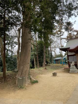 生實神社の参拝記録(ねこチャリさん)