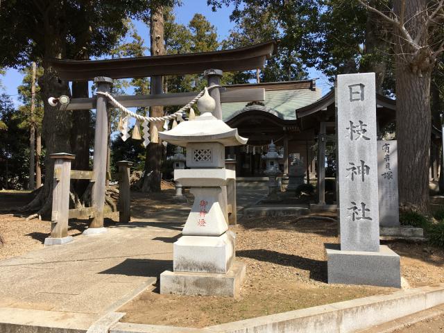 日枝神社の参拝記録(明介さん)