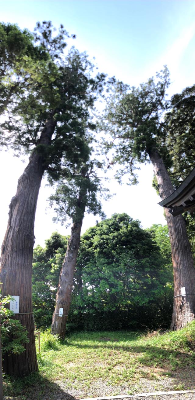 三社神社の参拝記録3