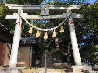 大宮神社の参拝記録(明介さん)