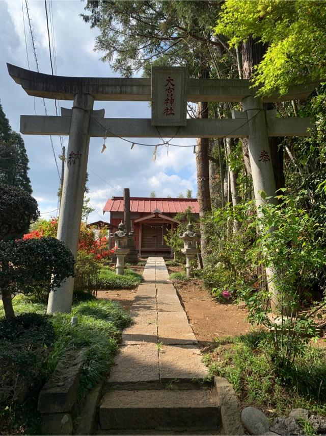 大宮神社の参拝記録1