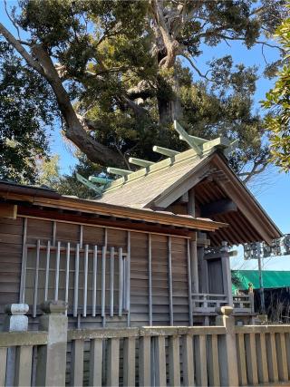 神明神社の参拝記録(ねこチャリさん)