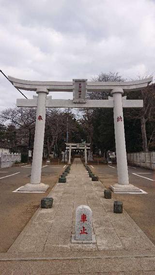 譽田八幡神社の参拝記録(カビジジイさん)