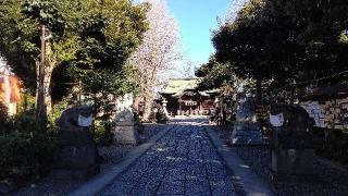 菊田神社の参拝記録(オトギリルさん)