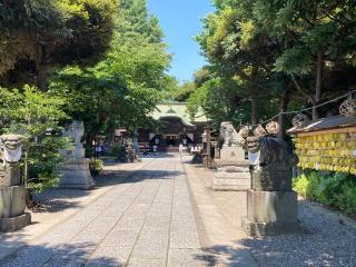 菊田神社の参拝記録(🤗あんこさん)