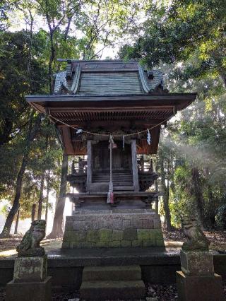 島田大宮神社の参拝記録(はしどいさん)