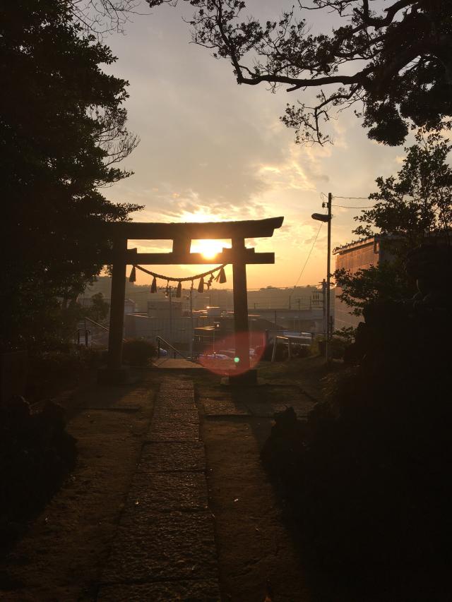 千葉県八千代市村上南1-15-1 根上神社の写真4