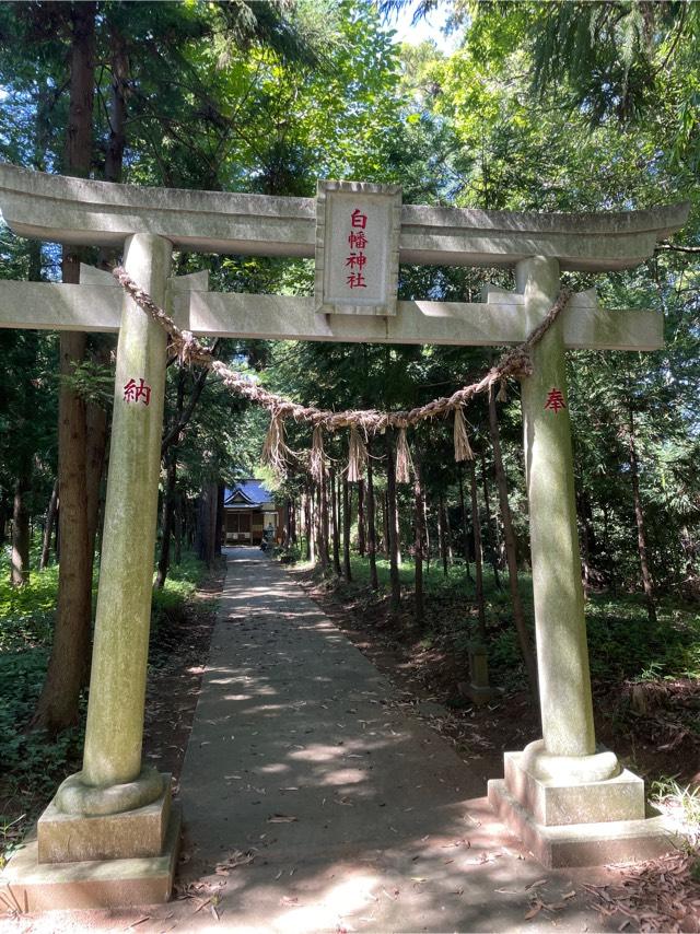 千葉県八千代市上高野677番地 白幡神社の写真1
