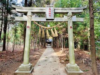 白幡神社の参拝記録(shikigami_hさん)