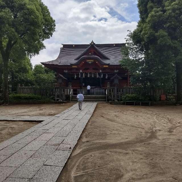 飯香岡八幡宮の参拝記録(ちはるさん)