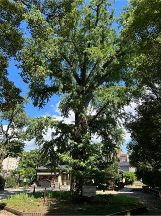 飯香岡八幡宮の参拝記録(ゆうさん)