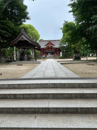 飯香岡八幡宮の参拝記録(テルさん)