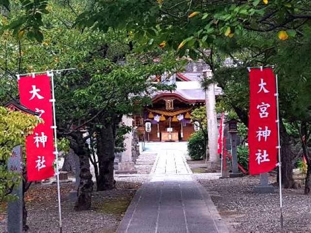 千葉県市原市五井1597番地 大宮神社の写真2