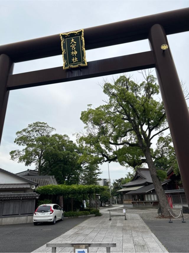 大宮神社の参拝記録5