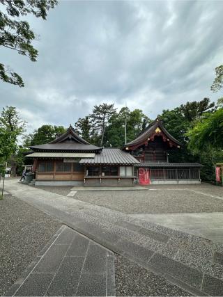 大宮神社の参拝記録(テルさん)