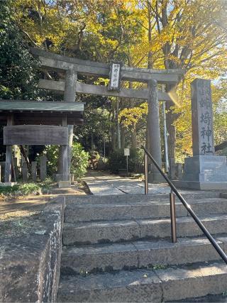 姉埼神社の参拝記録(こーちんさん)