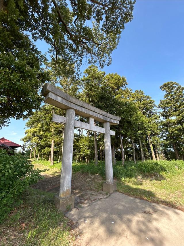 千葉県市原市権現堂16番地 八坂神社の写真1
