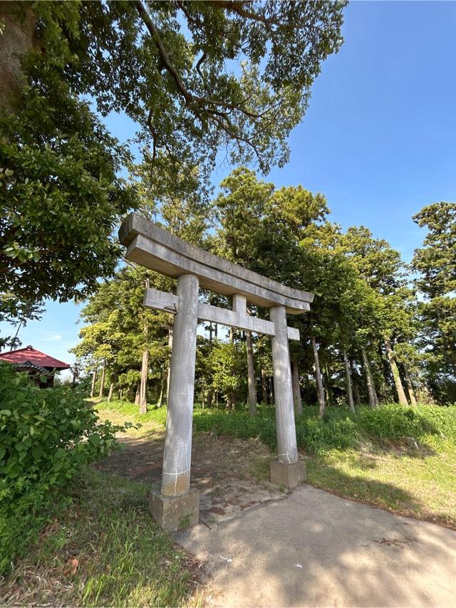 八坂神社の参拝記録2