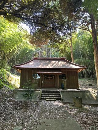 諏訪神社の参拝記録(ねこチャリさん)
