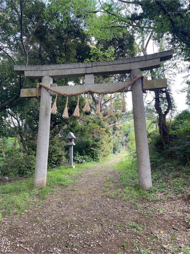 千葉県市原市菊間3169番地 八幡神社（菊間八幡神社）の写真2