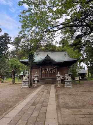 八幡神社（菊間八幡神社）の参拝記録(ねこチャリさん)