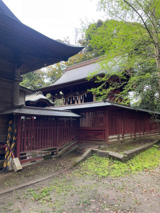 八幡神社（菊間八幡神社）の参拝記録(ねこチャリさん)