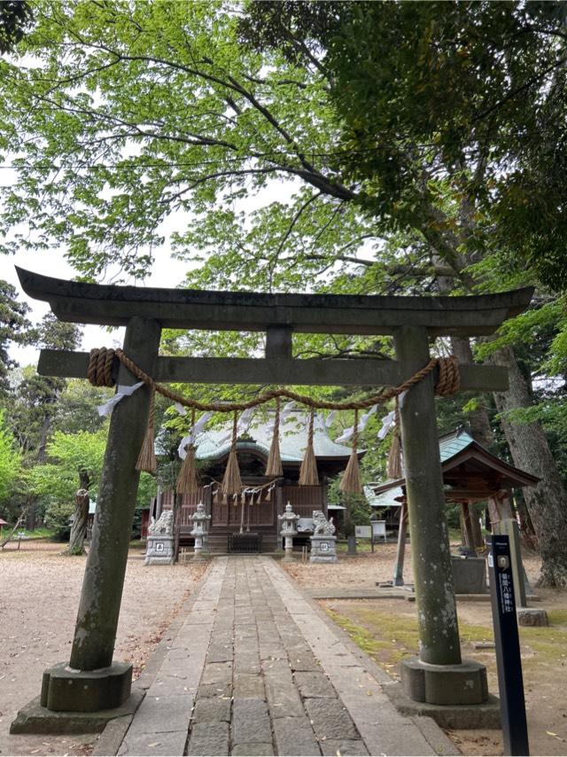 八幡神社（菊間八幡神社）の参拝記録1