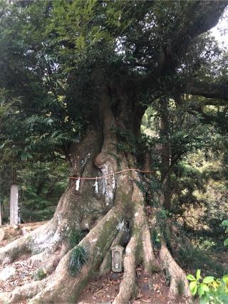 勝間日枝神社の参拝記録(KOHさん)