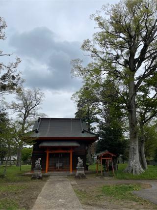 平野神社の参拝記録(ねこチャリさん)
