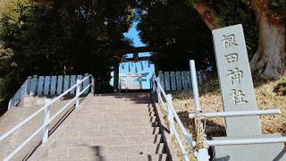 根田神社の参拝記録(miyumikoさん)