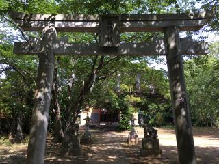 大宮神社の参拝記録(明介さん)