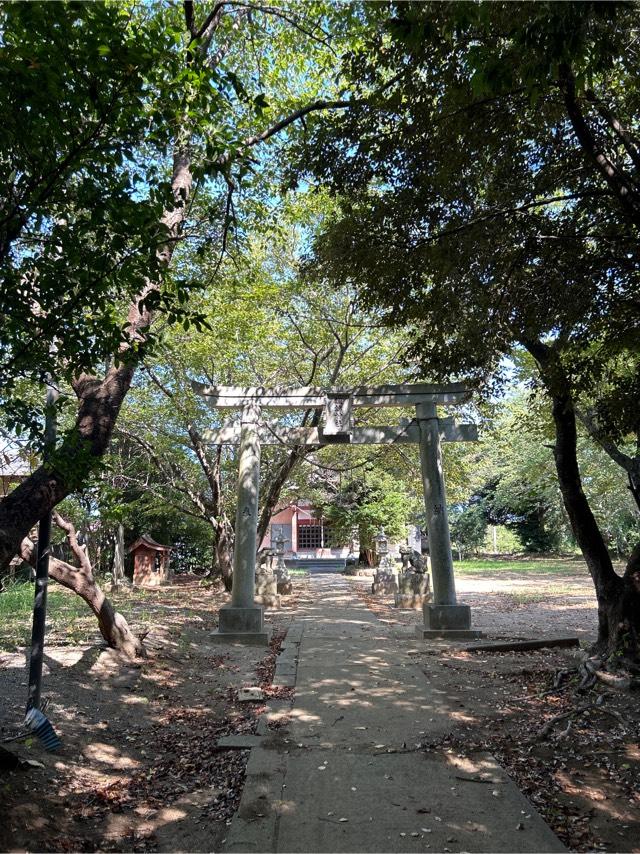 千葉県市原市大坪字小堤636番地 諏訪神社の写真1