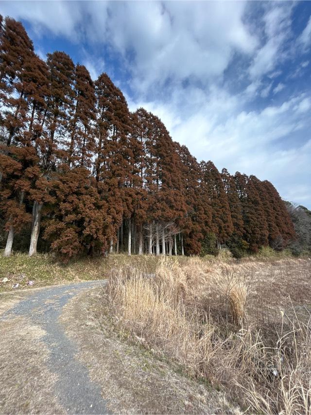浅間神社の参拝記録1
