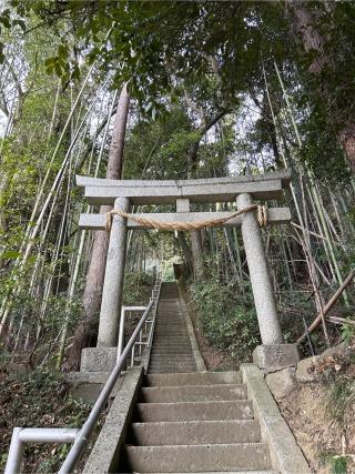 大宮神社の参拝記録(ねこチャリさん)