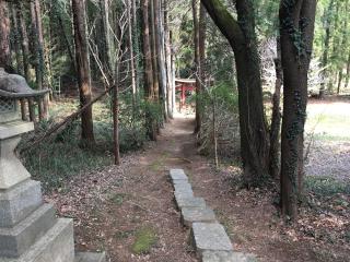 大宮神社の参拝記録(明介さん)