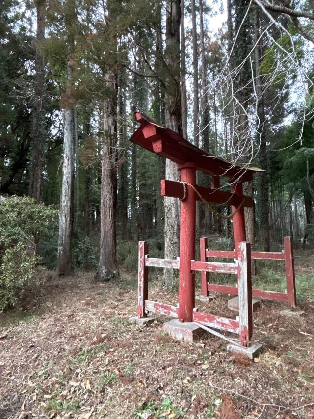 大宮神社の参拝記録1