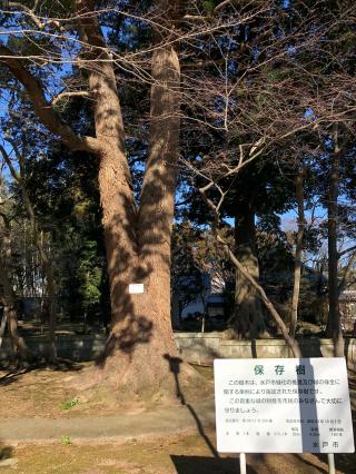 薬王院の参拝記録(みつをさん)