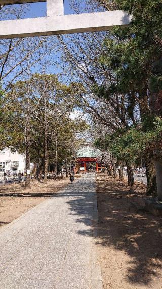 葛飾八幡宮の参拝記録(りゅうじさん)