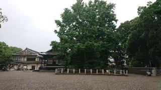 葛飾八幡宮の参拝記録(ありさん)