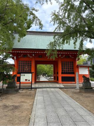 葛飾八幡宮の参拝記録(⛩️🐍🐢まめ🐢🐍⛩️さん)