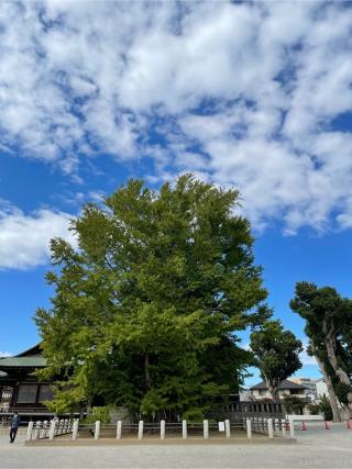 葛飾八幡宮の参拝記録(ぴよさん)