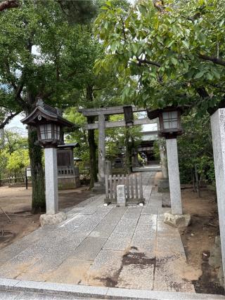白幡天神社の参拝記録(⛩️🎠🐢まめ🐢🎠⛩️さん)
