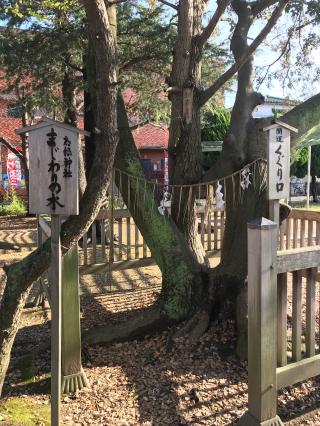 胡録神社(湊新田)の参拝記録(ぷる鴨さん)