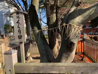 胡録神社(湊新田)の参拝記録(shikigami_hさん)