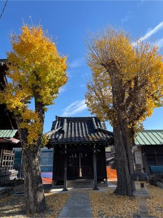 胡録神社の参拝記録(ねこチャリさん)