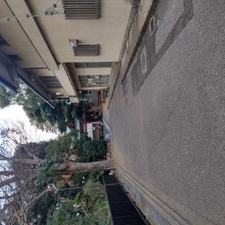 子之神社の参拝記録(ちはるさん)